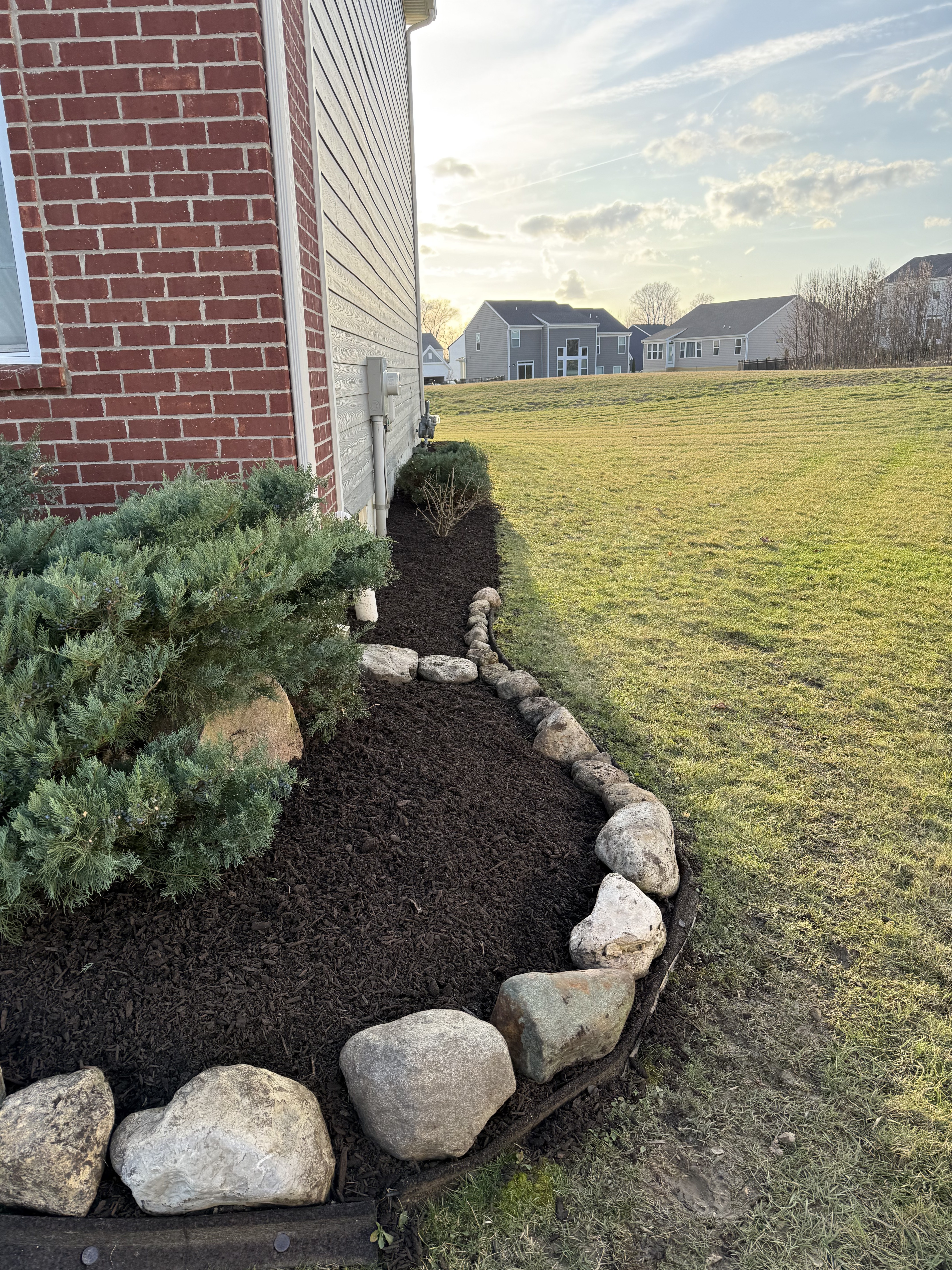 Landscape bed with rock border and evergreen shrub