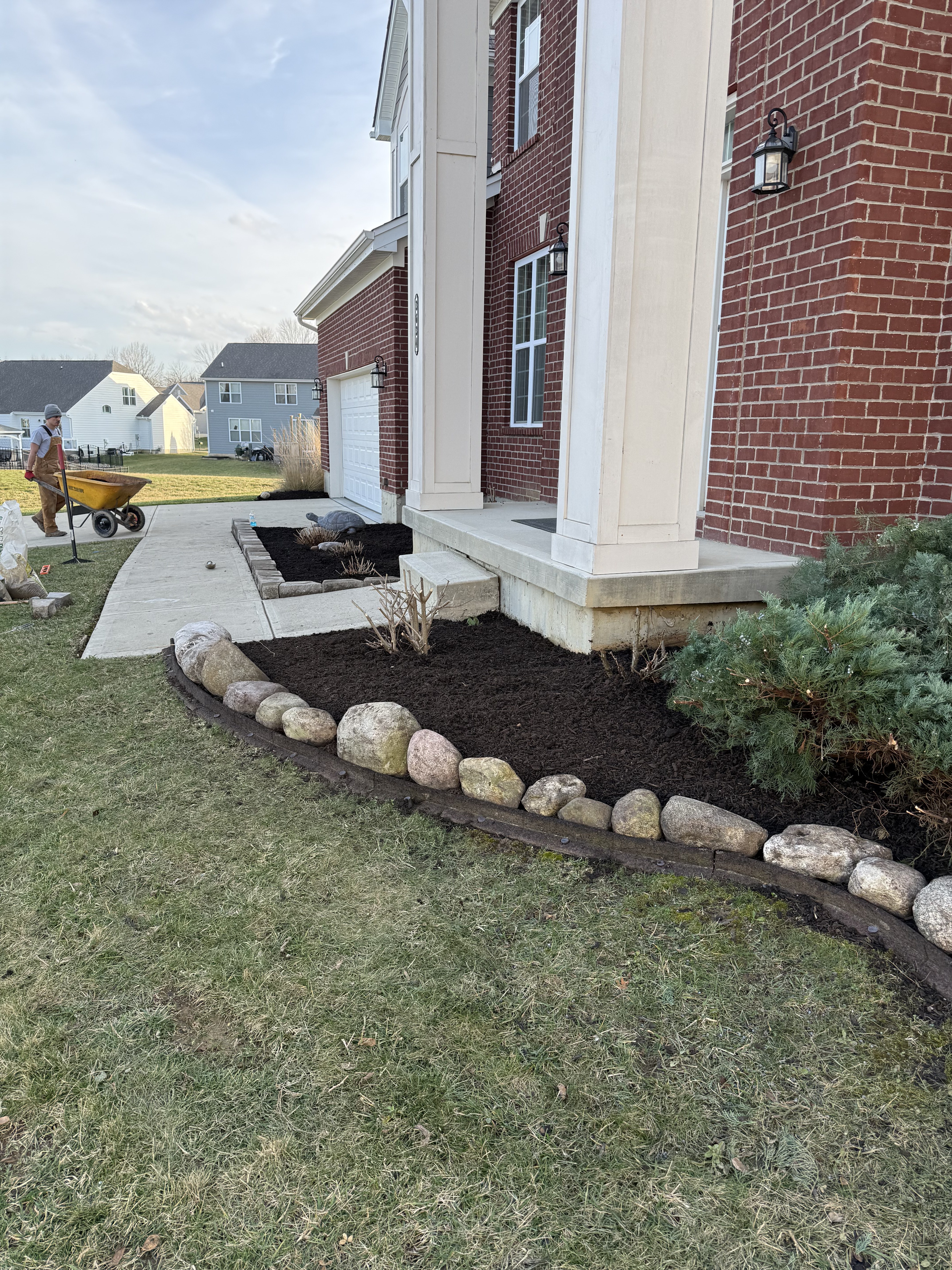 Foundation bed installation with black mulch and shrubs