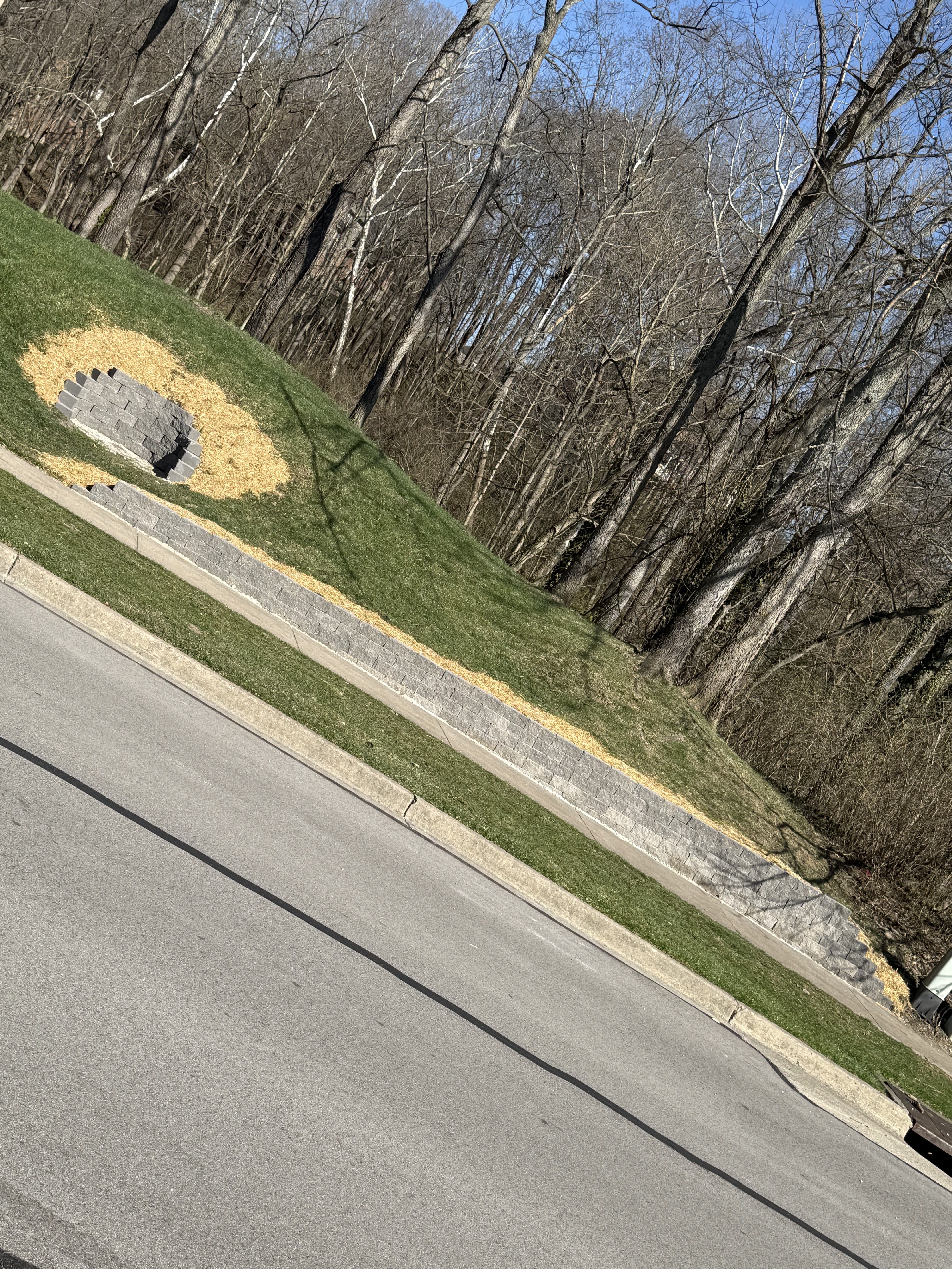 Terraced retaining walls on steep slope
