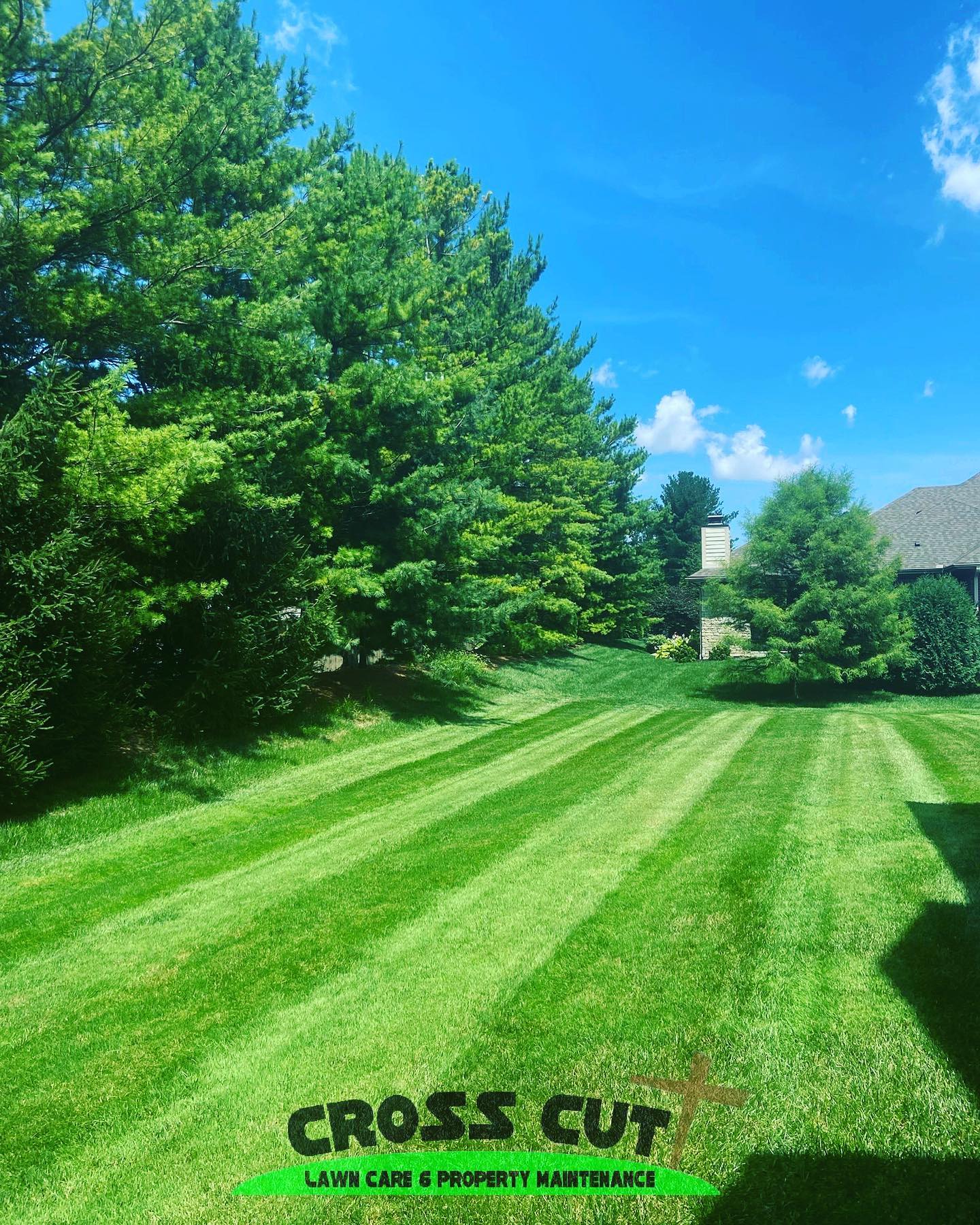Perfectly striped lawn with trees