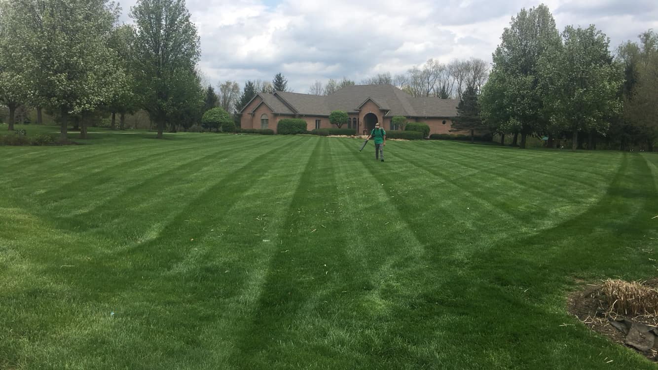 Beautifully striped residential lawn